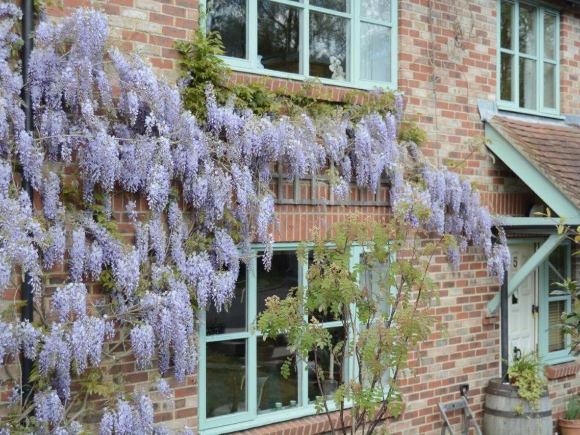 5 Charlton Mill Way B&B Chichester Exterior foto